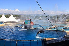 Marineland d'Antibes, France.