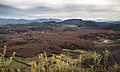 Vista de la fageda d'en Jordà des de la Serra de Xenacs