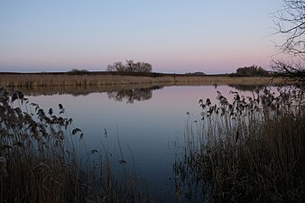 Étang vu depuis la route de Bures