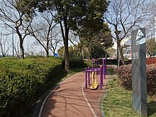 A section of Shanghai Greenway running through Fengling Park, Changning District, with adult exercise equipment by the side of the path