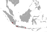 Udbredelse af indonesisk bjergvæsel