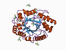 Description de l'image PDB_1bg4_EBI.jpg.