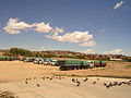 Camions à la frontière, avec Villazón (Bolivie) à l'arrière-plan.