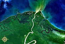 Muara sungai Mamberamo