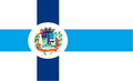 Bandeira de Faxinal dos Guedes