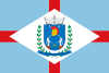 Flag of São Sebastião do Paraíso