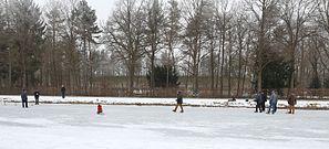 Personas jugando al curling en el canal congelado del parque del palacio.