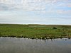 Salthouse Marshes