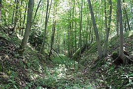 Graben des Schießplatzes