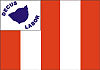 Flag of Aparecida do Taboado