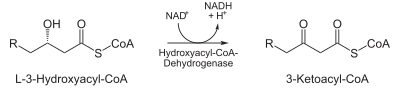 Oxidació per NAD+