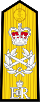 英國海軍元帥肩章