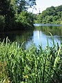 Bullough's Pond with Newton City Hall in the distance