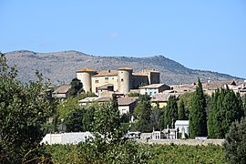 The chateau and surroundings in Serviès-en-Val