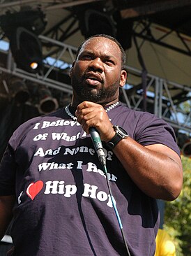 Raekwon на фестивале Pitchfork Music в 2010 году