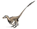 Velociraptor je bio dinosaur sa perjem i živio je tijekom kasne krede.