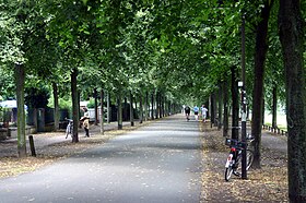 Promenada u Münsteru