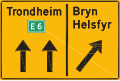 Lane guide[N 1] Shows which destination a lane is intended for.