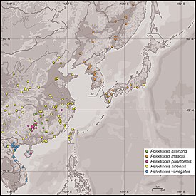 Pelodiscus-lajien tunnettuja sijainteja