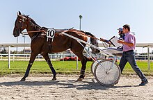 Photo d'un jockey assis sur un sulky dirigeant son cheval tandis qu'un homme marche à ses côté, tenant dans ses mains des feuilles de programmes et de résultats et un micro avec le logo de la chaîne Equidia. Le cheval a une robe bai et porte le numéro 10.