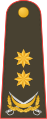 General-leytenant[7] (Azerbaijani Land Forces)