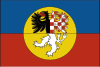 Flag of Slavkov u Brna