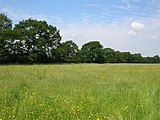 Clifton Ings near Sustrans cycle route 65