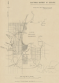 Map of the district of Geelong in 1856