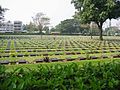 Cementerio de guerra de Kanchanaburi .