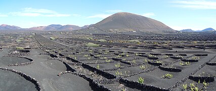 Vue Panoramique de la Montaña Diama