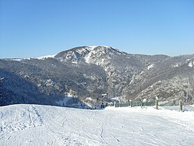 Vue du ballon d’Alsace.