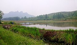 工山鎮の田園風景