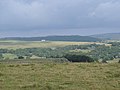 Aubrac landscape