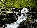 Petite cascade sur le bras oriental.