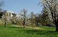 Goetheanum ligger oppe på høyden helt inntil grensen til Arlesheim.