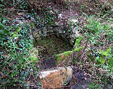 Vestiges d'un puits à Traviguel.