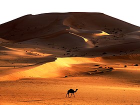 Algerian desert