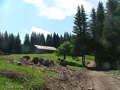 "Tabià" (construcción rural) en Pieve di Cadore.