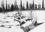 Finse skitroepe in Noordelike Finland 12 Januarie 1940.