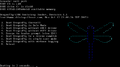 DragonFly BSD