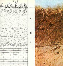 基盤岩から土壌への土壌層の図