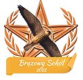 Odznaka Brązowego Sokoła za sprawdzanie haseł zgłoszonych do wyróżnienia podczas Miesiąca Wyróżnionego Artykułu 2022
