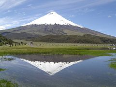 Cotopaxi mit Laguna Limpiopungo