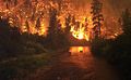 Image 16Elk Bath, an award-winning photograph of elk avoiding a wildfire in Montana (from Wildfire)