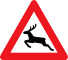 A26: Wild animals crossing