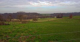 Landschap bij Meerssen, omgeving Visweg. Met op de achtergrond Waterval en de kerktoren van Ulestraten