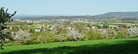 Blick auf Witterswil (im Vordergrund)