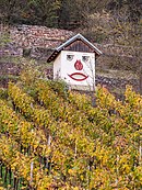 Nicht gesichtslos: alter Weinberg in Zeil