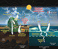 Image 4This diagram of the carbon cycle shows the movement of carbon between land, atmosphere, and oceans in billions of metric tons of carbon per year. Yellow numbers are natural fluxes, red are human contributions, white are stored carbon. (from Carbon dioxide in Earth's atmosphere)