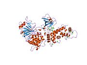 1tco​: Tercijarni kompleks fragmenta kalcineurina A, kalcineurina B, FKBP12 i imunosupresivnog leka FK506 (Takrolimus)